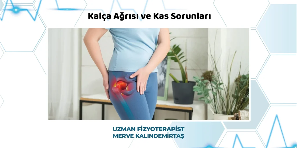 Kalça Ağrısı ve Kas Sorunları